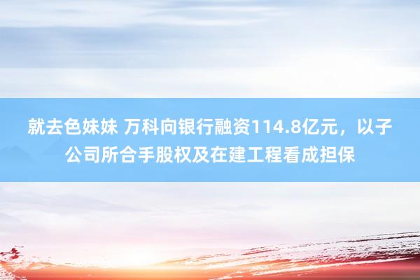 就去色妹妹 万科向银行融资114.8亿元，以子公司所合手股权及在建工程看成担保