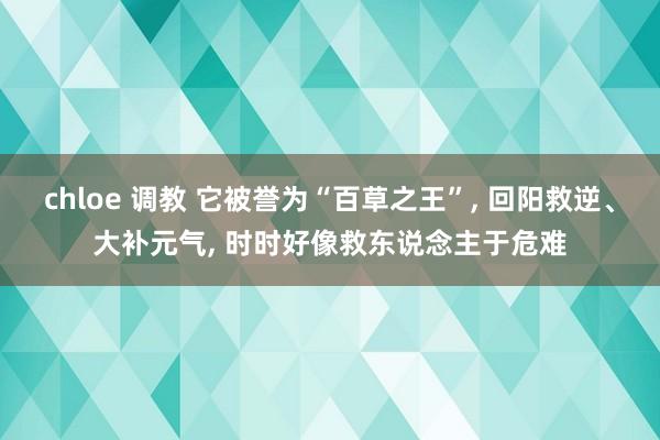 chloe 调教 它被誉为“百草之王”， 回阳救逆、大补元气， 时时好像救东说念主于危难