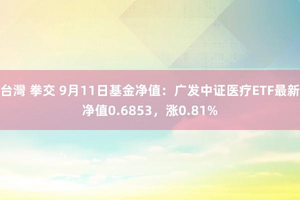 台灣 拳交 9月11日基金净值：广发中证医疗ETF最新净值0.6853，涨0.81%