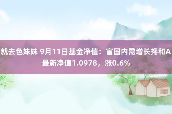 就去色妹妹 9月11日基金净值：富国内需增长搀和A最新净值1.0978，涨0.6%