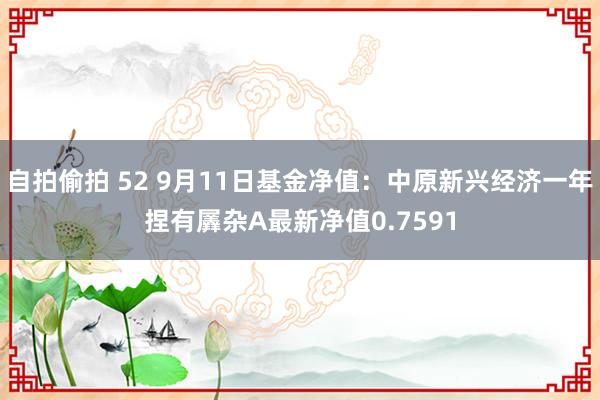 自拍偷拍 52 9月11日基金净值：中原新兴经济一年捏有羼杂A最新净值0.7591