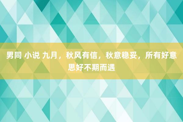 男同 小说 九月，秋风有信，秋意稳妥，所有好意思好不期而遇