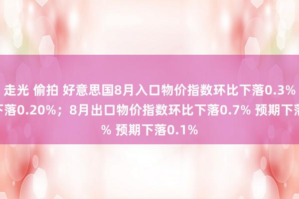 走光 偷拍 好意思国8月入口物价指数环比下落0.3% 预期下落0.20%；8月出口物价指数环比下落0.7% 预期下落0.1%