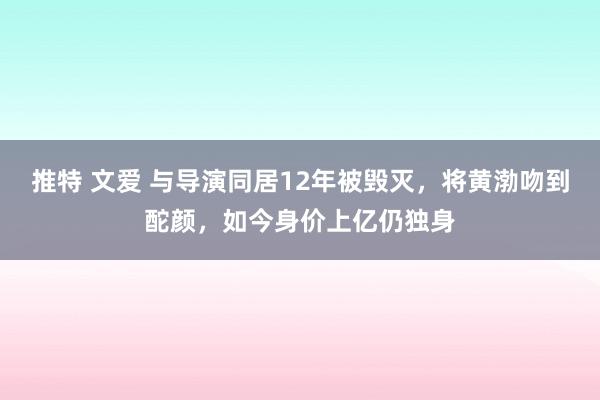 推特 文爱 与导演同居12年被毁灭，将黄渤吻到酡颜，如今身价上亿仍独身