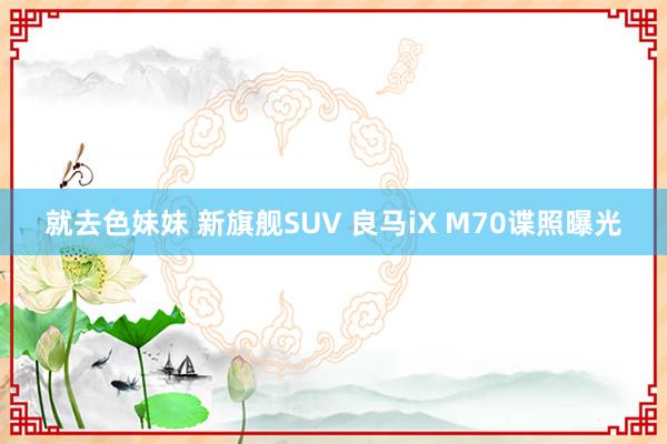 就去色妹妹 新旗舰SUV 良马iX M70谍照曝光