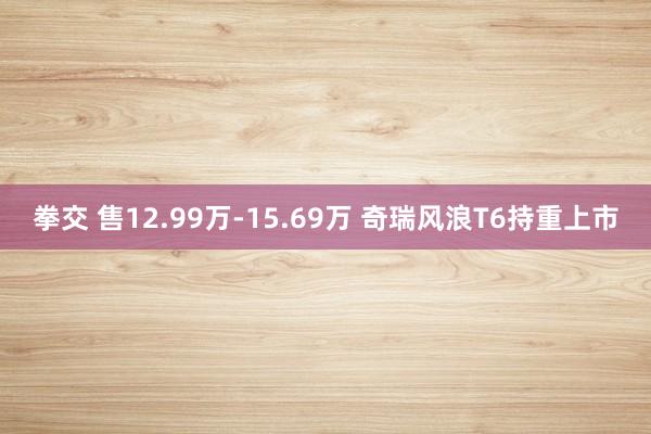 拳交 售12.99万-15.69万 奇瑞风浪T6持重上市