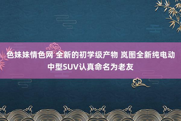 色妹妹情色网 全新的初学级产物 岚图全新纯电动中型SUV认真命名为老友