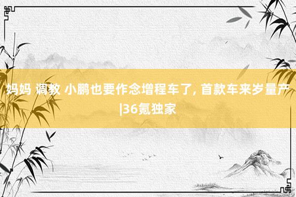 妈妈 调教 小鹏也要作念增程车了， 首款车来岁量产|36氪独家