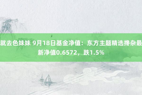 就去色妹妹 9月18日基金净值：东方主题精选搀杂最新净值0.6572，跌1.5%