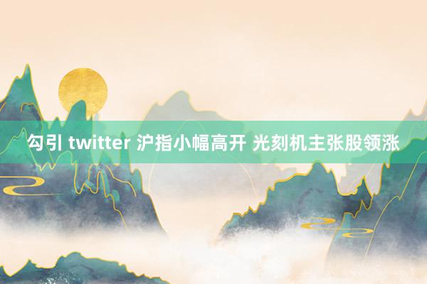 勾引 twitter 沪指小幅高开 光刻机主张股领涨