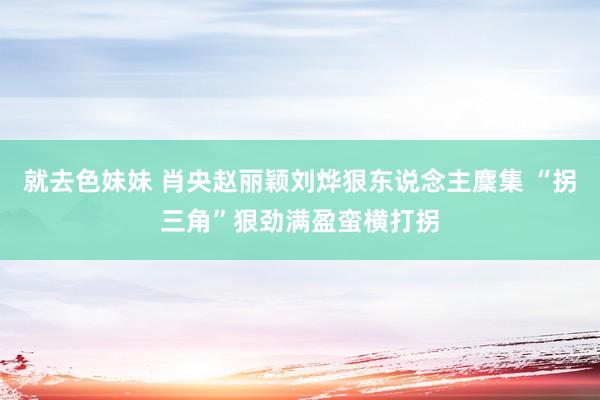 就去色妹妹 肖央赵丽颖刘烨狠东说念主麇集 “拐三角”狠劲满盈蛮横打拐