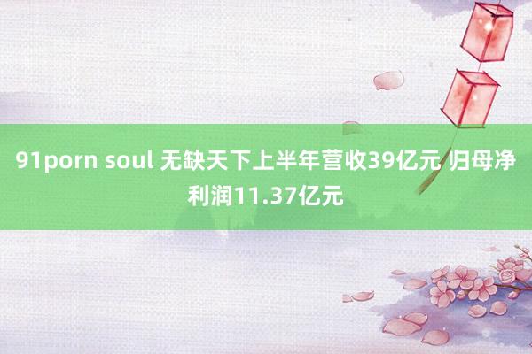 91porn soul 无缺天下上半年营收39亿元 归母净利润11.37亿元