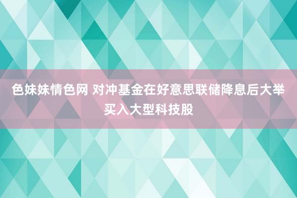 色妹妹情色网 对冲基金在好意思联储降息后大举买入大型科技股