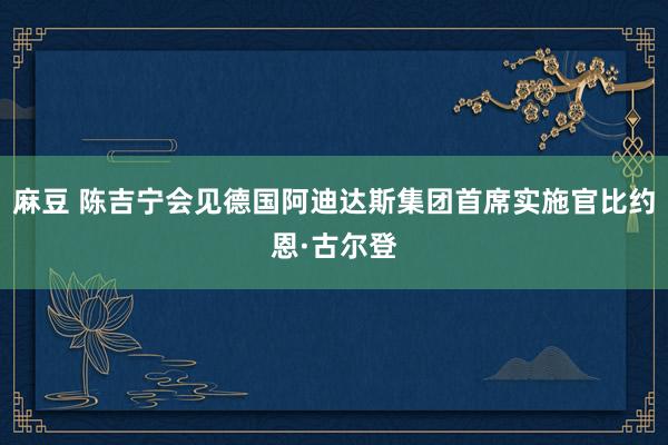 麻豆 陈吉宁会见德国阿迪达斯集团首席实施官比约恩·古尔登