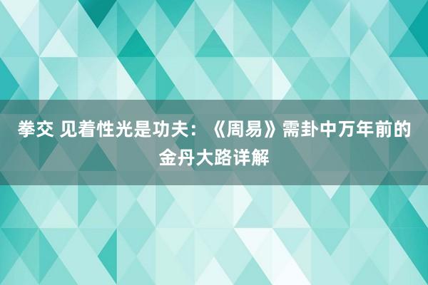 拳交 见着性光是功夫：《周易》需卦中万年前的金丹大路详解