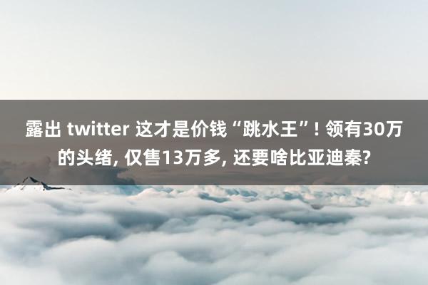 露出 twitter 这才是价钱“跳水王”! 领有30万的头绪， 仅售13万多， 还要啥比亚迪秦?