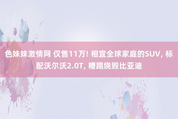 色妹妹激情网 仅售11万! 相宜全球家庭的SUV， 标配沃尔沃2.0T， 糟蹋烧毁比亚迪