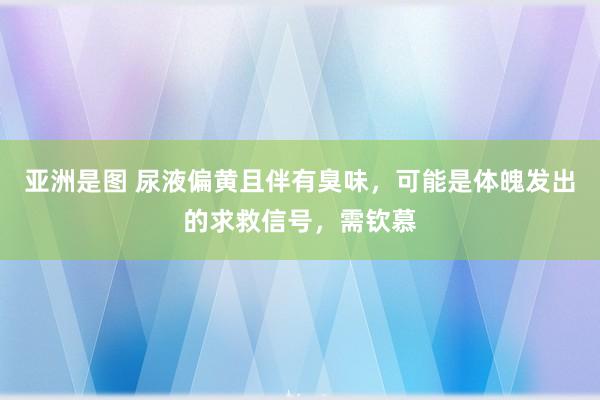 亚洲是图 尿液偏黄且伴有臭味，可能是体魄发出的求救信号，需钦慕