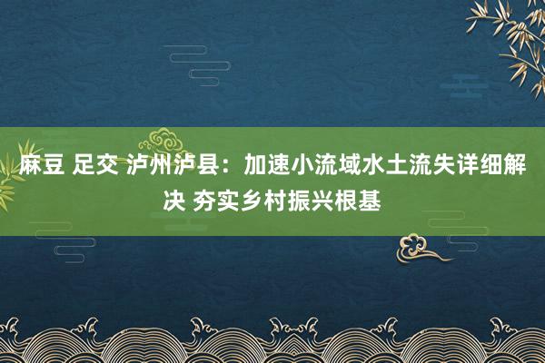 麻豆 足交 泸州泸县：加速小流域水土流失详细解决 夯实乡村振兴根基