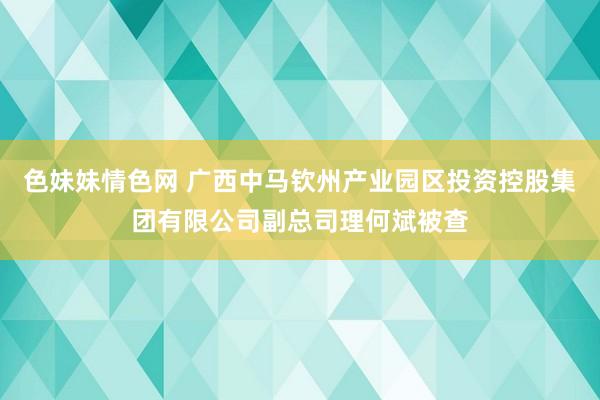 色妹妹情色网 广西中马钦州产业园区投资控股集团有限公司副总司理何斌被查