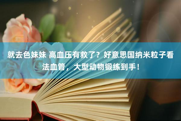 就去色妹妹 高血压有救了？好意思国纳米粒子看法血管，大型动物锻练到手！