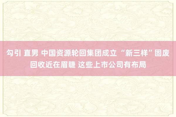 勾引 直男 中国资源轮回集团成立 “新三样”固废回收近在眉睫 这些上市公司有布局