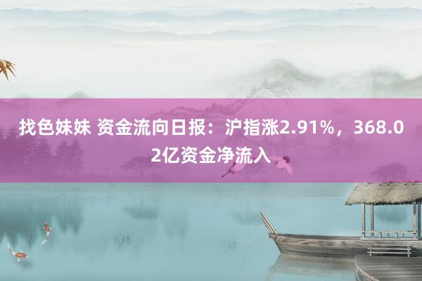 找色妹妹 资金流向日报：沪指涨2.91%，368.02亿资金净流入