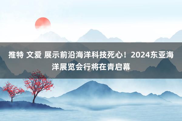 推特 文爱 展示前沿海洋科技死心！2024东亚海洋展览会行将在青启幕