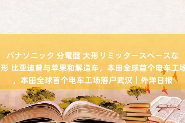 パナソニック 分電盤 大形リミッタースペースなし 露出・半埋込両用形 比亚迪曾与苹果和解造车，本田全球首个电车工场落户武汉｜外洋日报