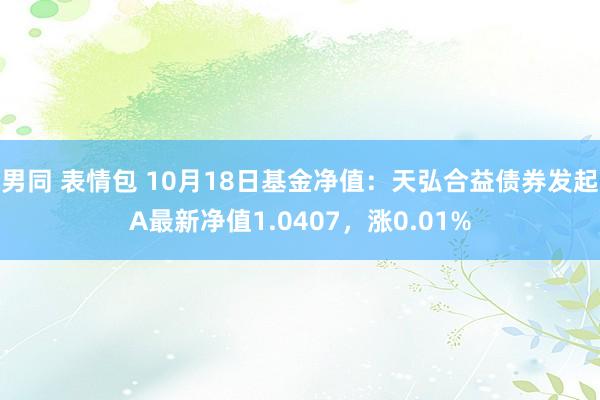 男同 表情包 10月18日基金净值：天弘合益债券发起A最新净值1.0407，涨0.01%