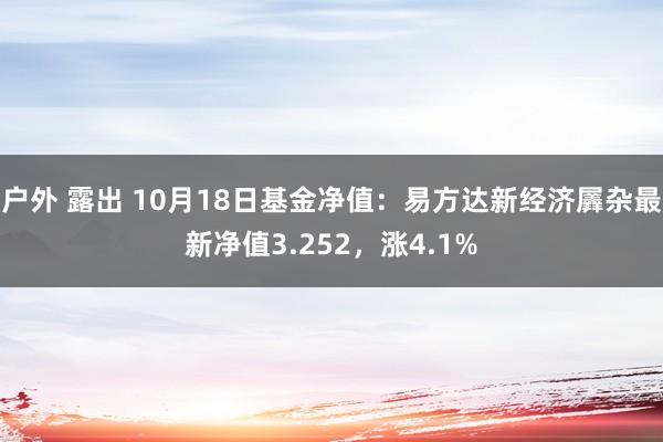 户外 露出 10月18日基金净值：易方达新经济羼杂最新净值3.252，涨4.1%