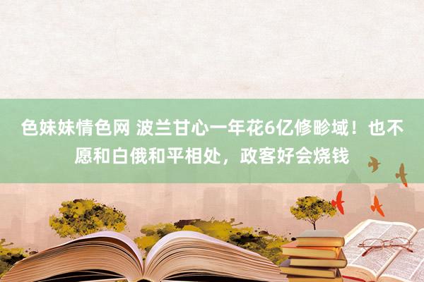 色妹妹情色网 波兰甘心一年花6亿修畛域！也不愿和白俄和平相处，政客好会烧钱