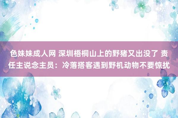 色妹妹成人网 深圳梧桐山上的野猪又出没了 责任主说念主员：冷落搭客遇到野机动物不要惊扰