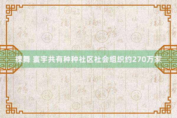 裸舞 寰宇共有种种社区社会组织约270万家