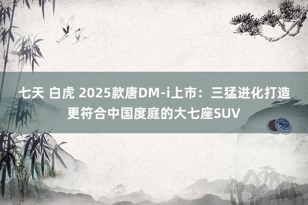 七天 白虎 2025款唐DM-i上市：三猛进化打造更符合中国度庭的大七座SUV