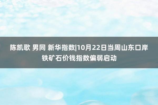 陈凯歌 男同 新华指数|10月22日当周山东口岸铁矿石价钱指数偏弱启动