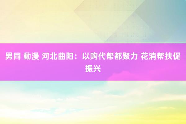 男同 動漫 河北曲阳：以购代帮都聚力 花消帮扶促振兴