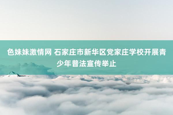 色妹妹激情网 石家庄市新华区党家庄学校开展青少年普法宣传举止