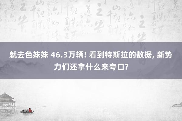 就去色妹妹 46.3万辆! 看到特斯拉的数据， 新势力们还拿什么来夸口?