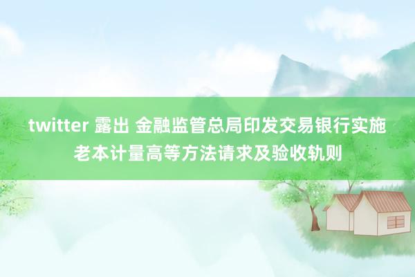 twitter 露出 金融监管总局印发交易银行实施老本计量高等方法请求及验收轨则