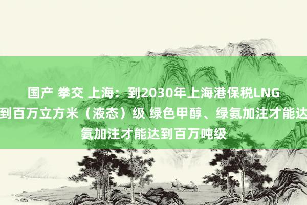 国产 拳交 上海：到2030年上海港保税LNG加注才能达到百万立方米（液态）级 绿色甲醇、绿氨加注才能达到百万吨级