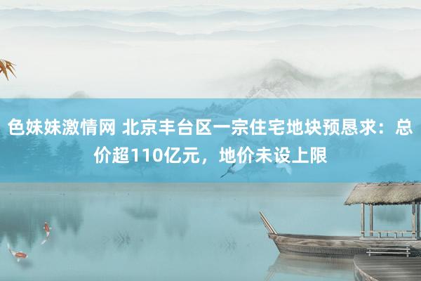 色妹妹激情网 北京丰台区一宗住宅地块预恳求：总价超110亿元，地价未设上限