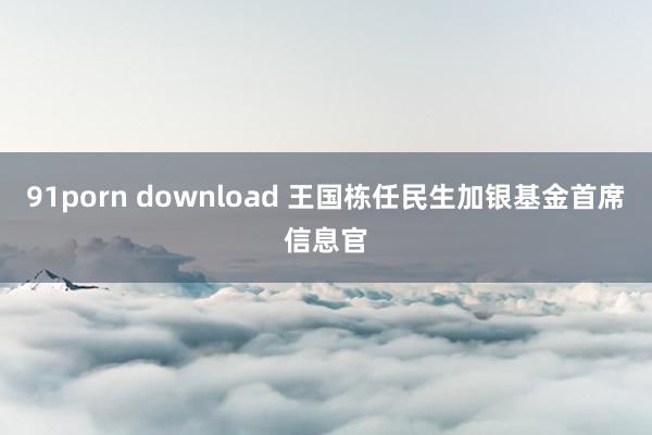 91porn download 王国栋任民生加银基金首席信息官