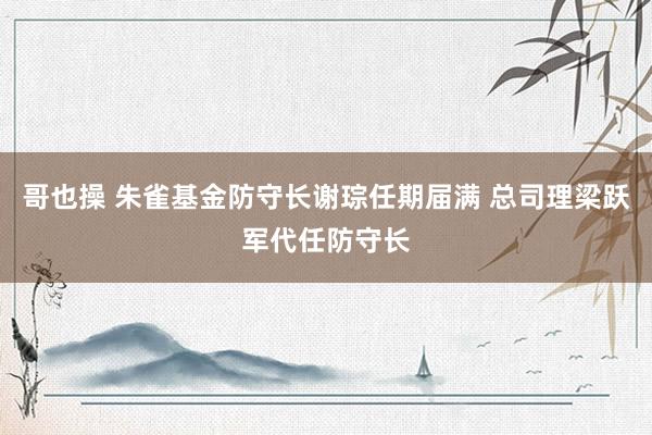 哥也操 朱雀基金防守长谢琮任期届满 总司理梁跃军代任防守长