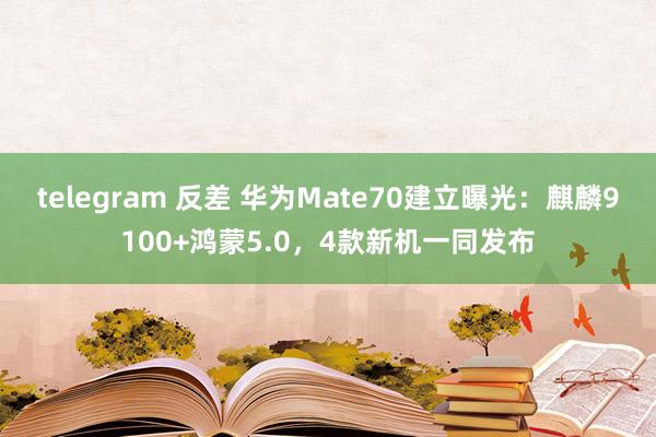 telegram 反差 华为Mate70建立曝光：麒麟9100+鸿蒙5.0，4款新机一同发布