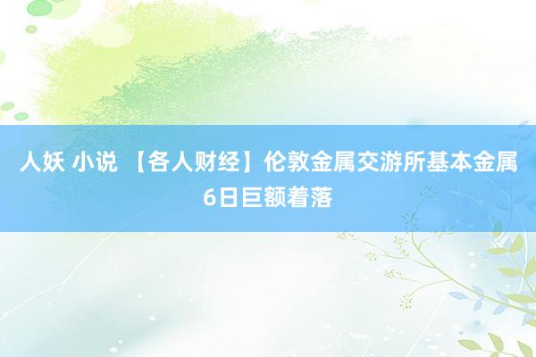 人妖 小说 【各人财经】伦敦金属交游所基本金属6日巨额着落