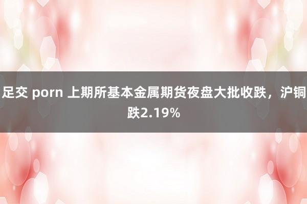 足交 porn 上期所基本金属期货夜盘大批收跌，沪铜跌2.19%