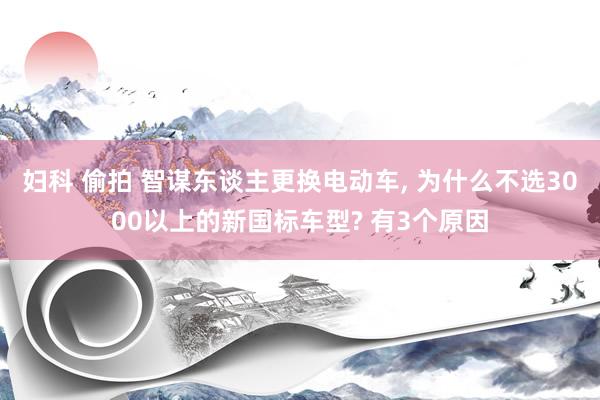 妇科 偷拍 智谋东谈主更换电动车， 为什么不选3000以上的新国标车型? 有3个原因