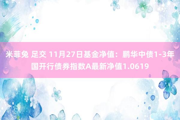 米菲兔 足交 11月27日基金净值：鹏华中债1-3年国开行债券指数A最新净值1.0619