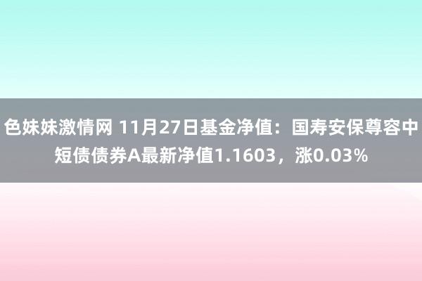 色妹妹激情网 11月27日基金净值：国寿安保尊容中短债债券A最新净值1.1603，涨0.03%